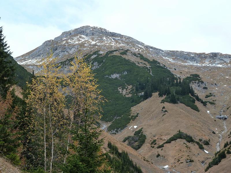 hoehenweg holzgau-steeg 5 muttekopf.jpg